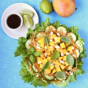 Vegan Thai Mango Salad (GF)
