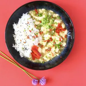 Vegan Japanese-Style Mapo Tofu (GF)