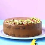 Gluten-Free Vegan Chocolate Truffle Cake