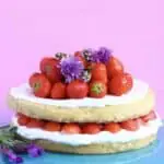 Gluten-Free Vegan Strawberry Sponge Layer Cake