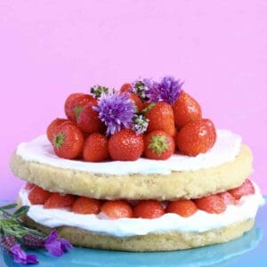 Gluten-Free Vegan Strawberry Sponge Layer Cake