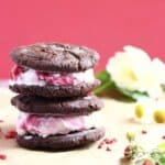 Vegan Chocolate Black Bean Cookie Ice Cream Sandwiches (GF)