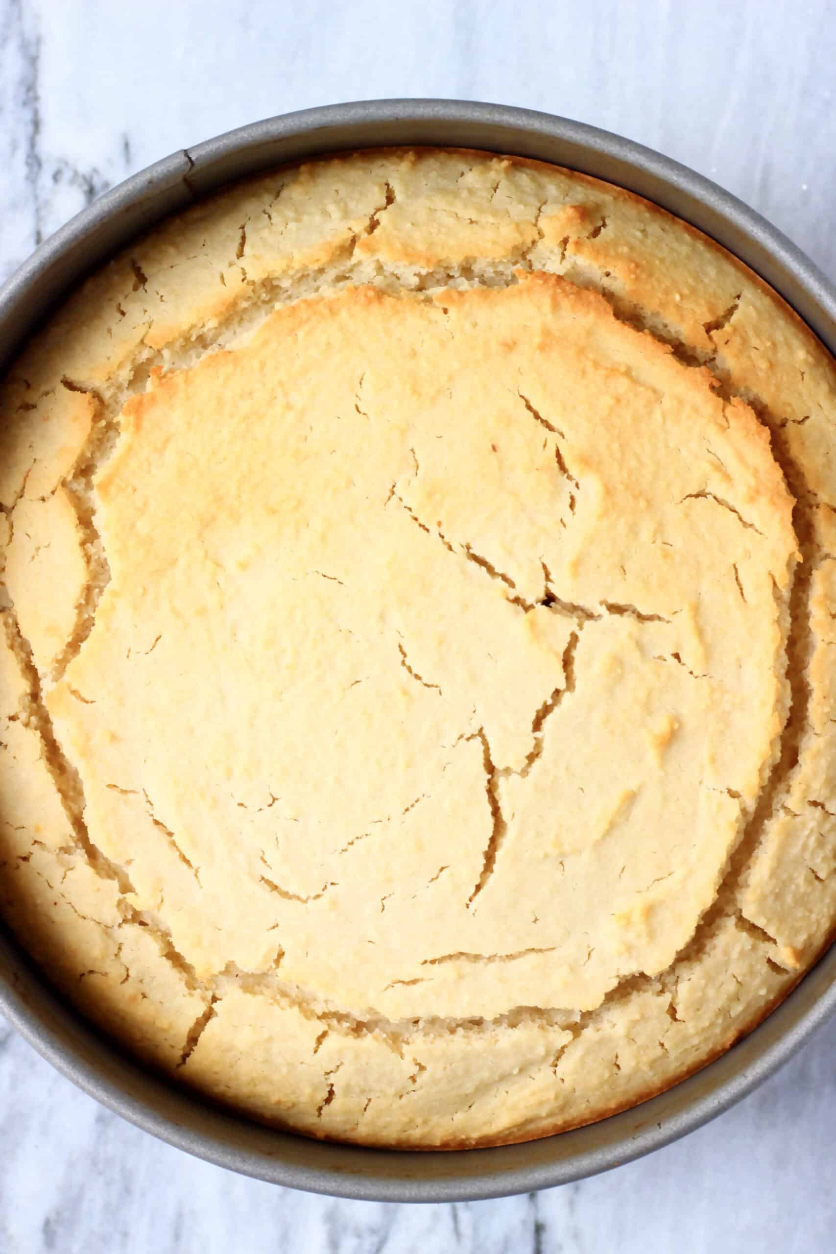 Baked gluten-free vegan lemon drizzle cake in a springform baking tin