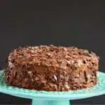 Gluten-Free Vegan Brooklyn Blackout Chocolate Cake