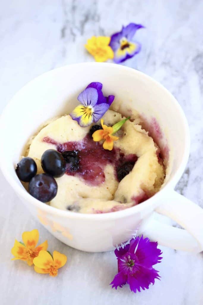 Vegan Lemon Blueberry Microwave Mug Cake