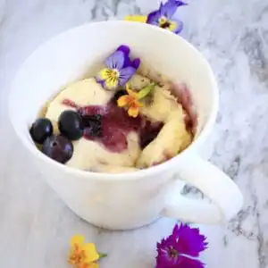 Vegan Lemon Blueberry Microwave Mug Cake