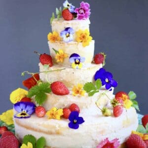 Gluten-Free Vegan Wedding Cake