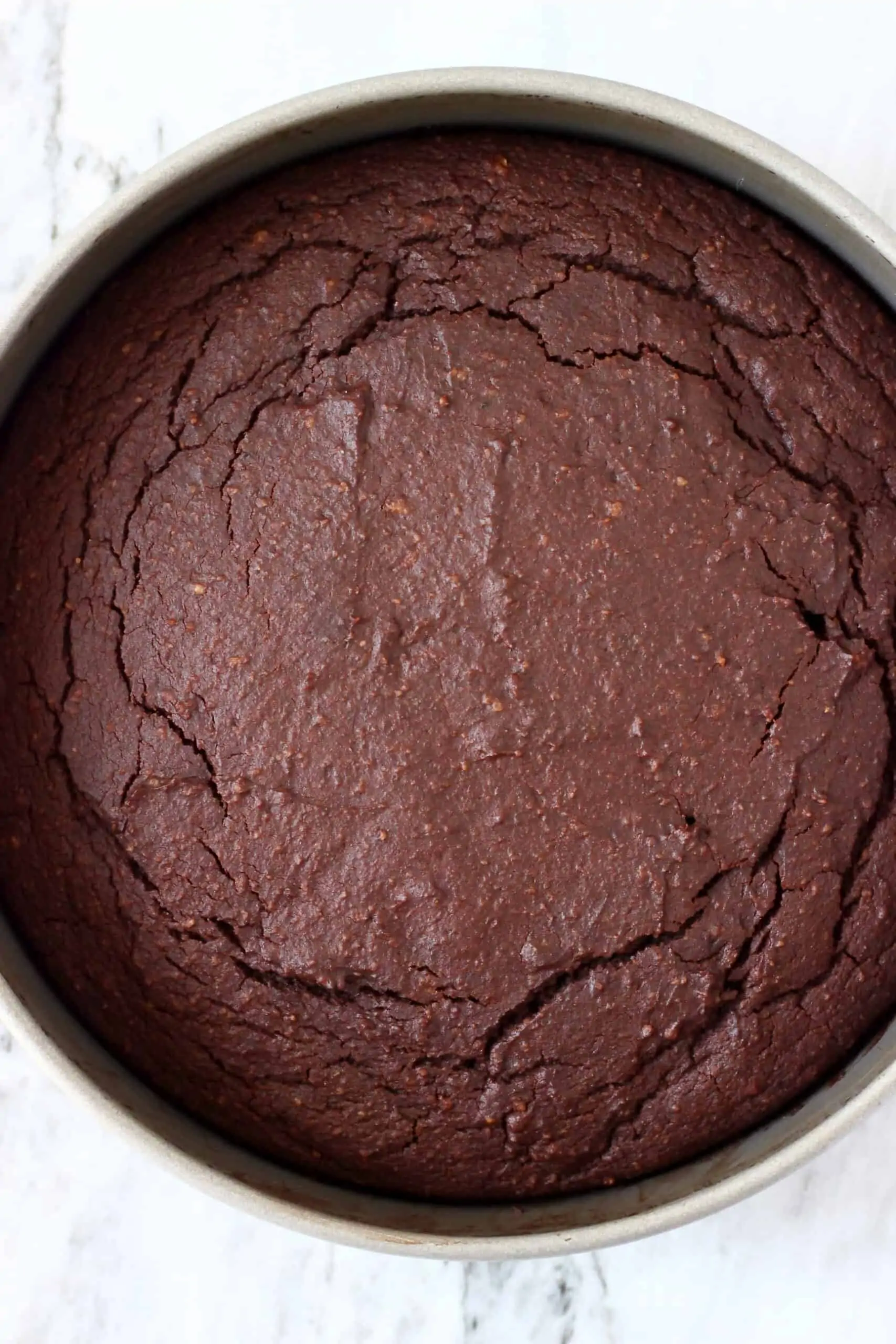 Gluten-free vegan chocolate mousse cake sponge in a springform baking tin