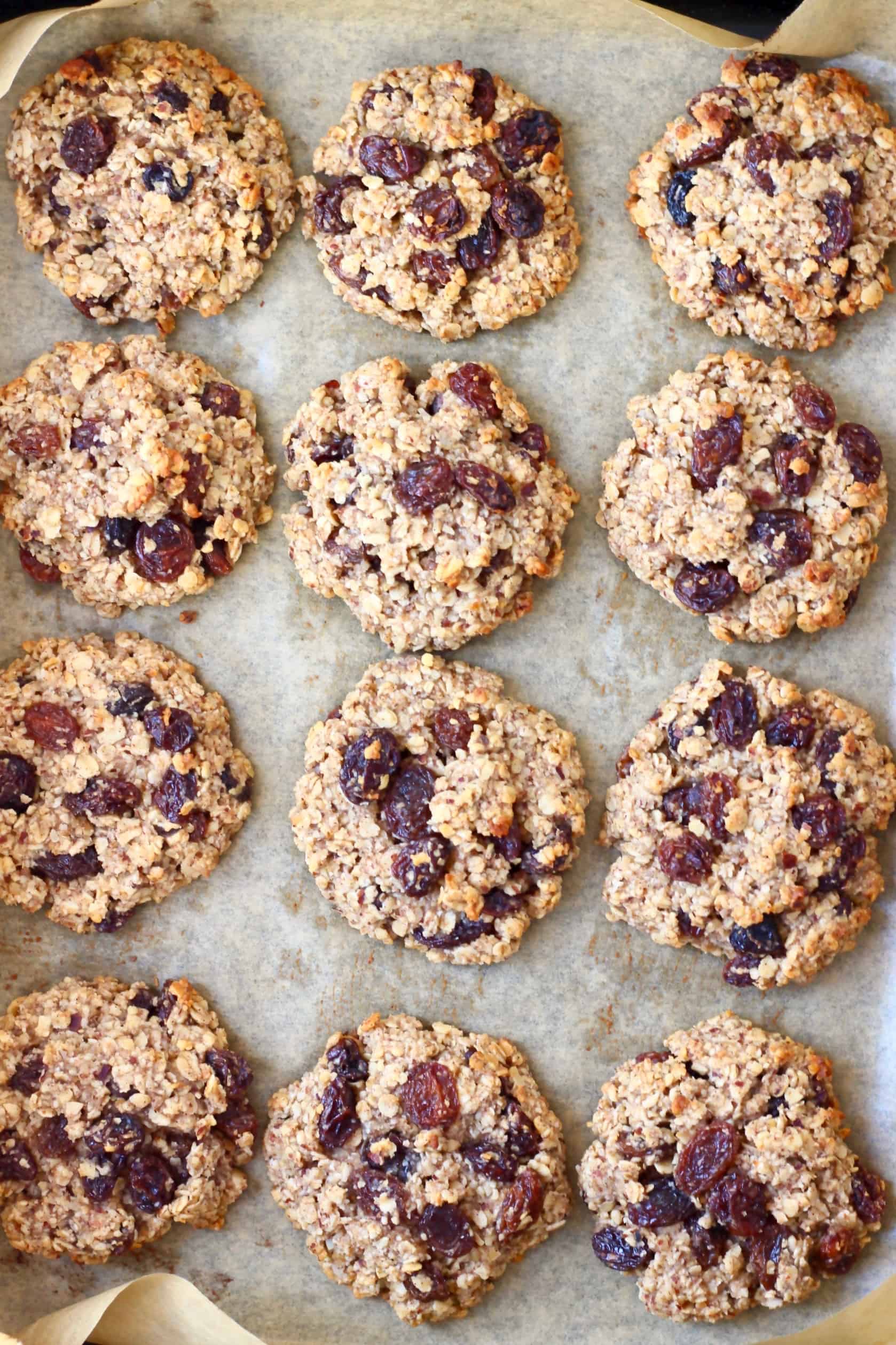 Twelve baked gluten-free vegan oatmeal raisin cookies on a baking tray lined with baking paper