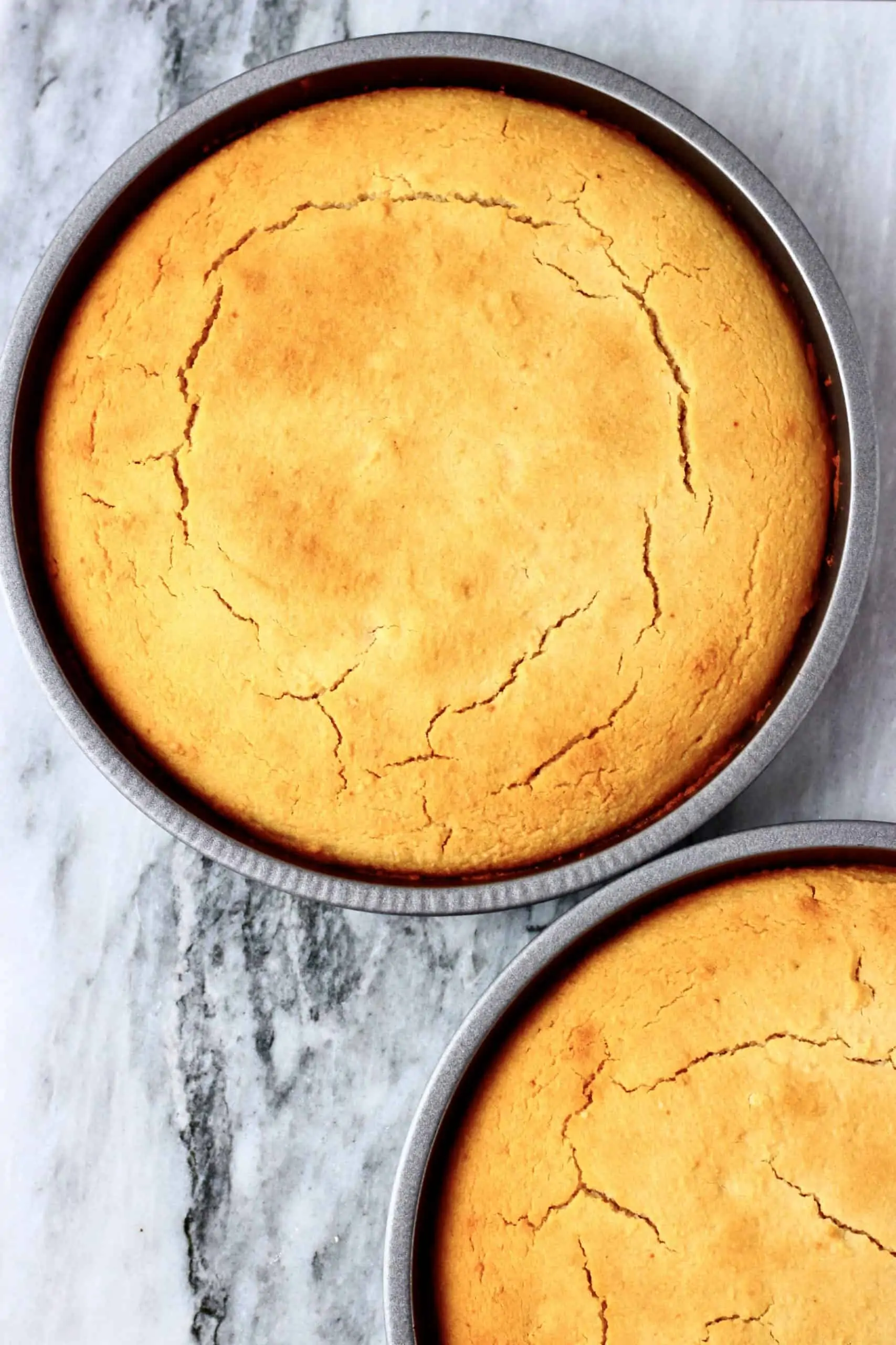 Two gluten-free vegan Victoria sponge cake sponges in two circular baking tins