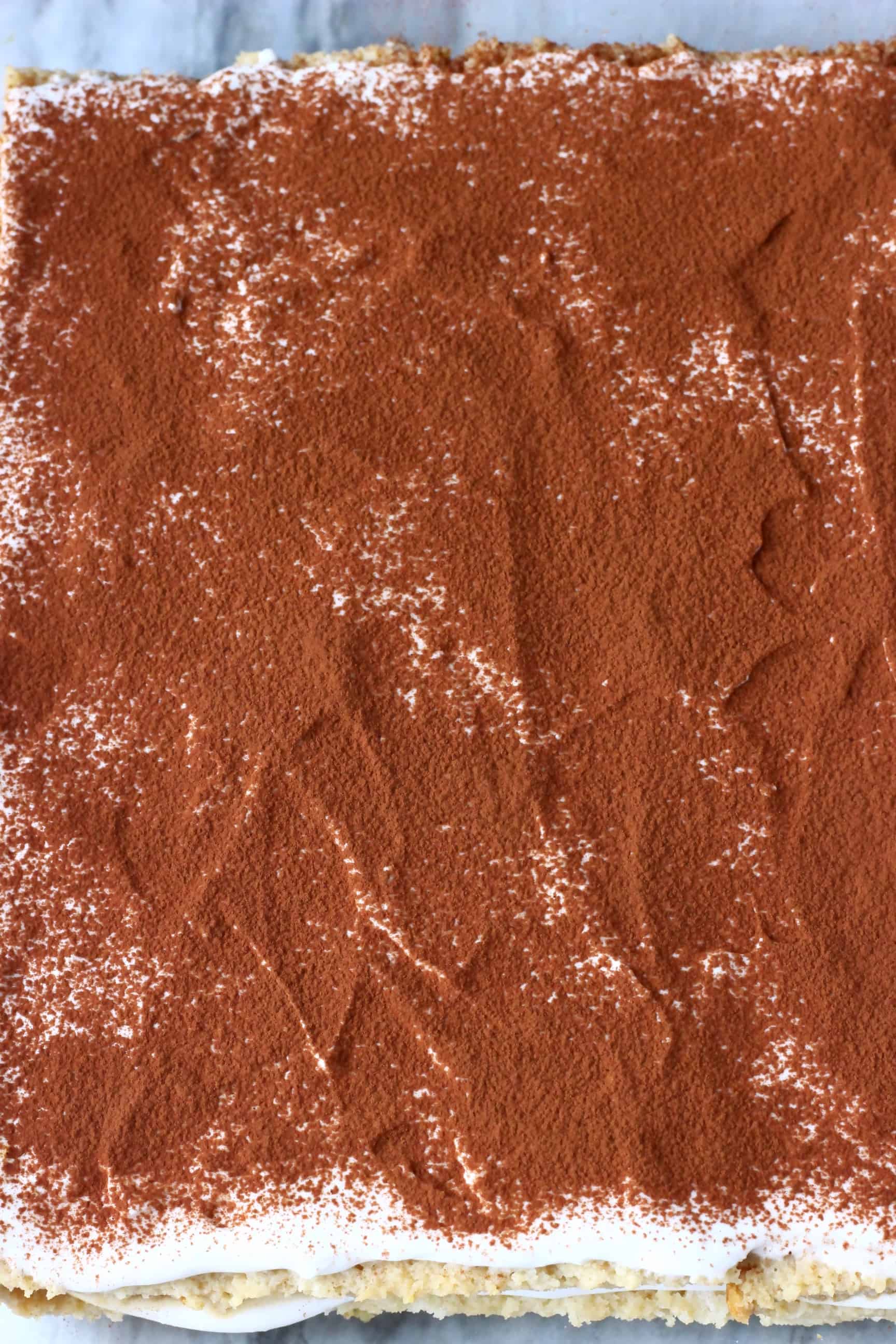 Photo of a large tray of tiramisu sprinkled with cocoa powder taken from above