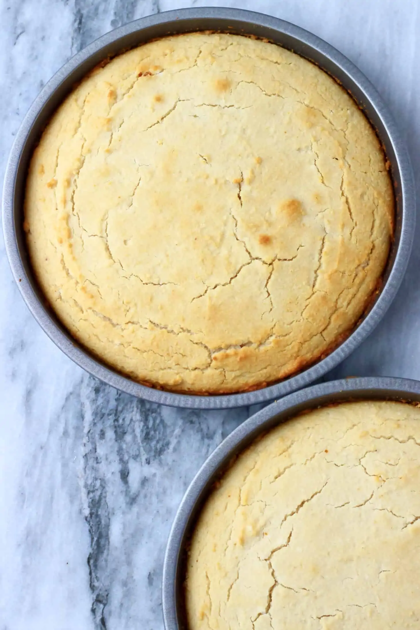 Two gluten-free vegan vanilla cake sponges in two circular baking tins
