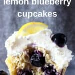 Photo of a blueberry cupcake topped with white creamy frosting and a fresh blueberry and lemon wedge against a grey background