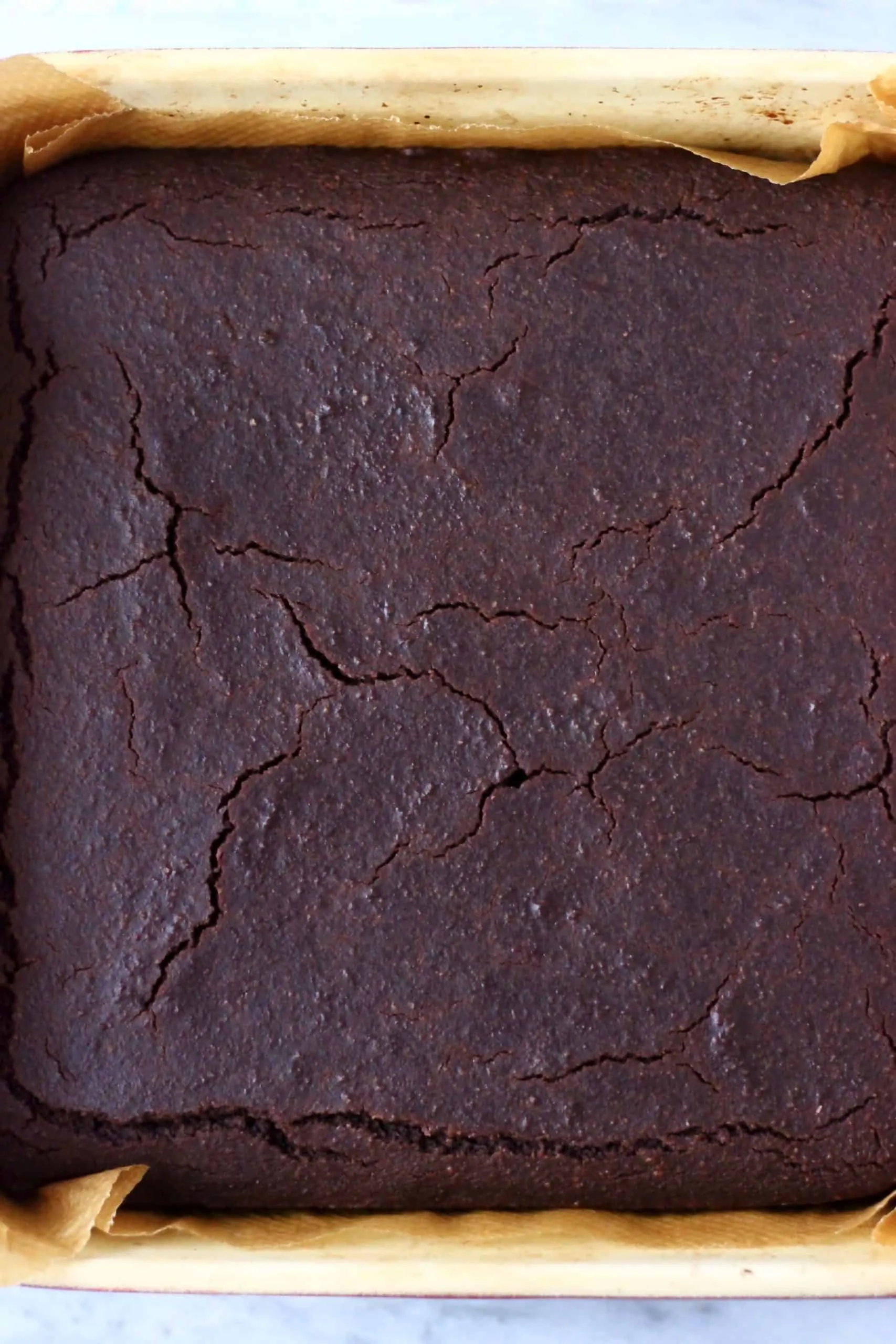 Gluten-free vegan yule log chocolate sponge in a square baking tin