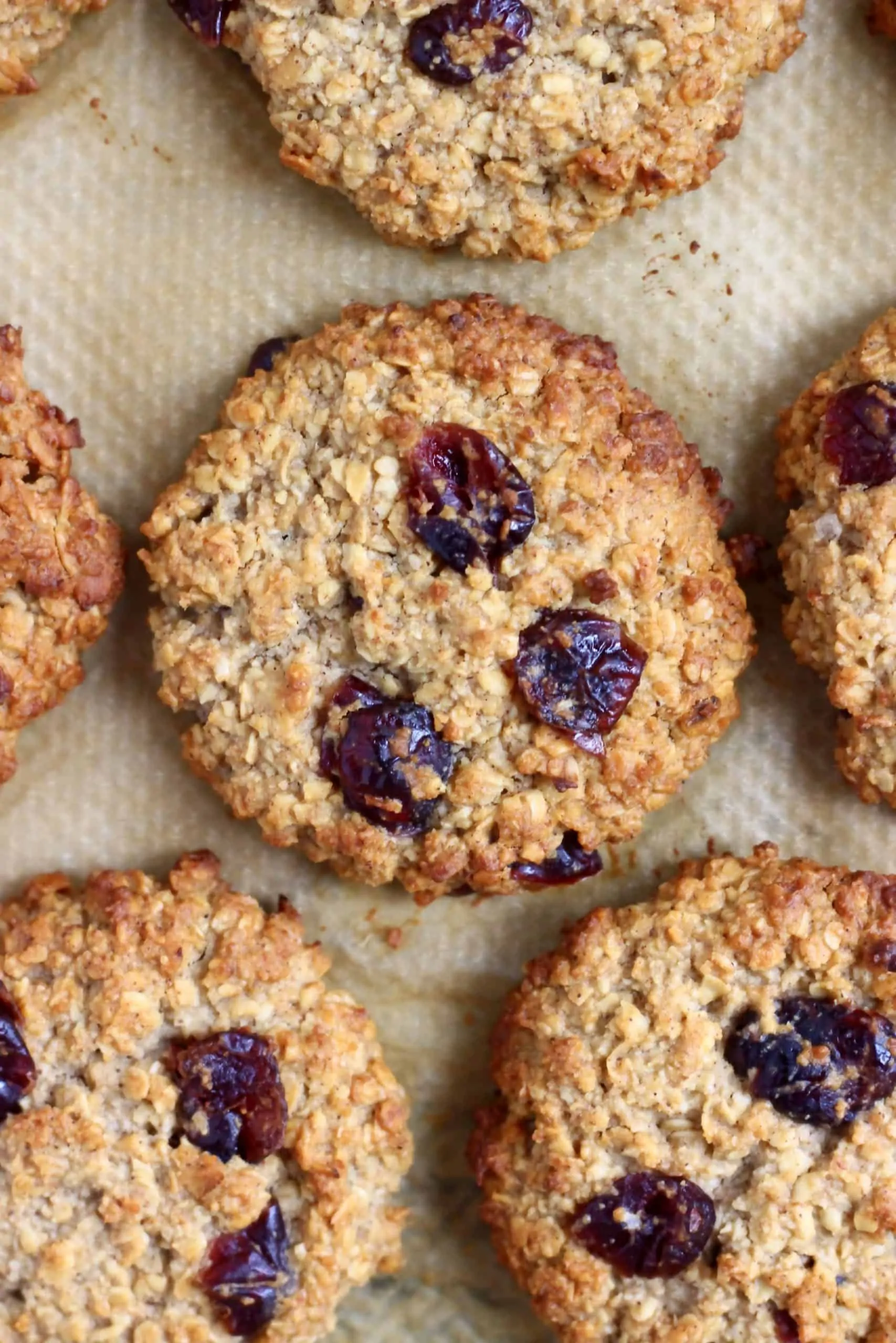 Oatmeal cookies with dried cranberries on a baking tray