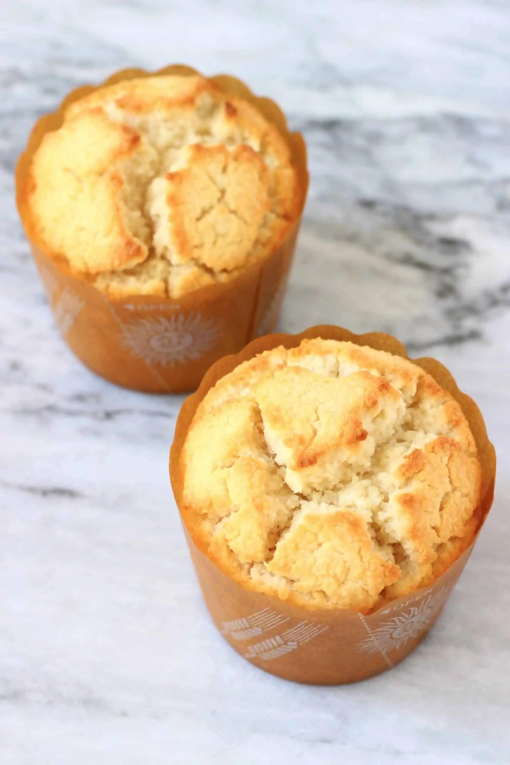 Two gluten-free vegan lemon muffins in brown muffin cases
