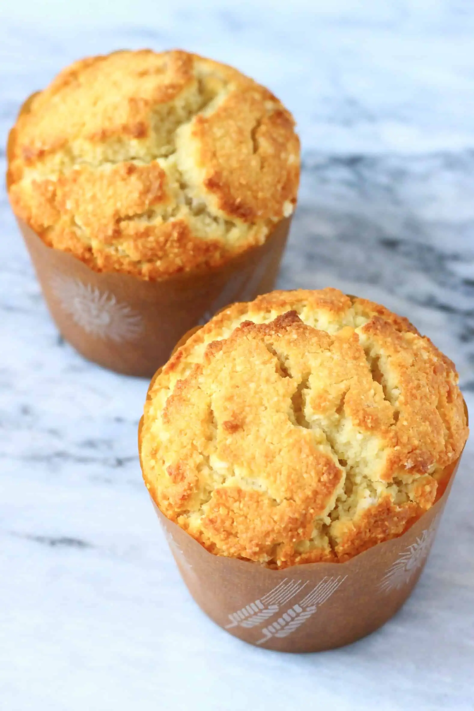 Two gluten-free vegan orange muffins in brown muffin cases