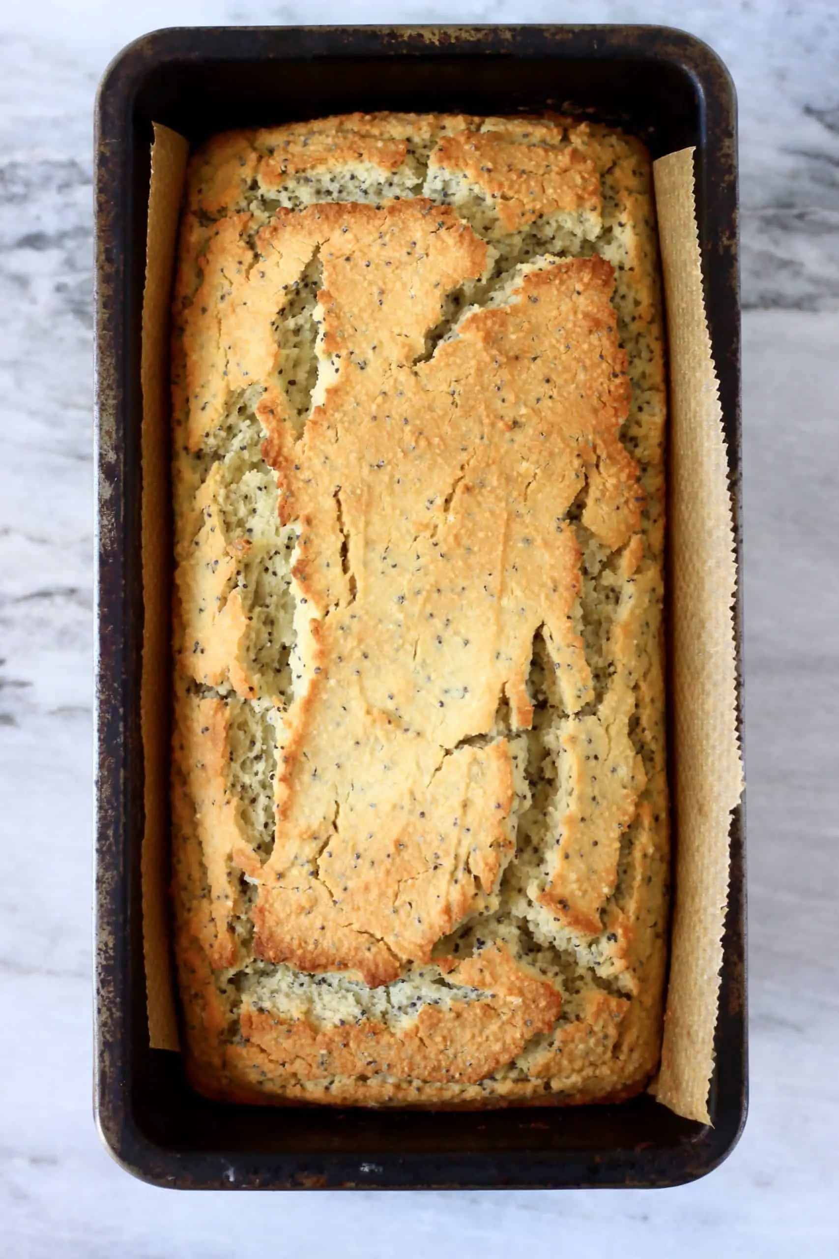 A loaf of gluten-free vegan lemon poppy seed bread in a loaf tin