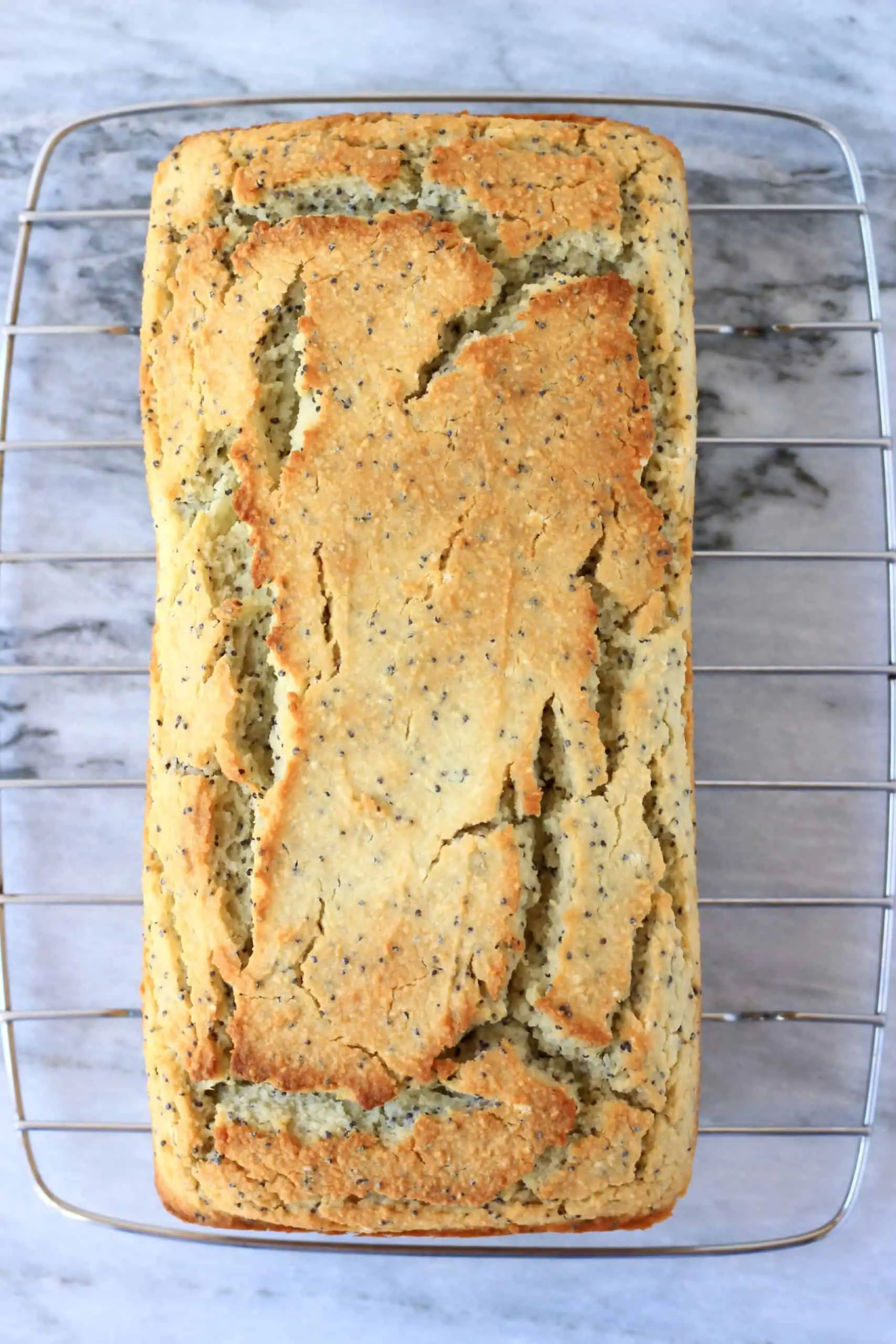 A loaf of gluten-free vegan lemon poppy seed bread on a wire rack