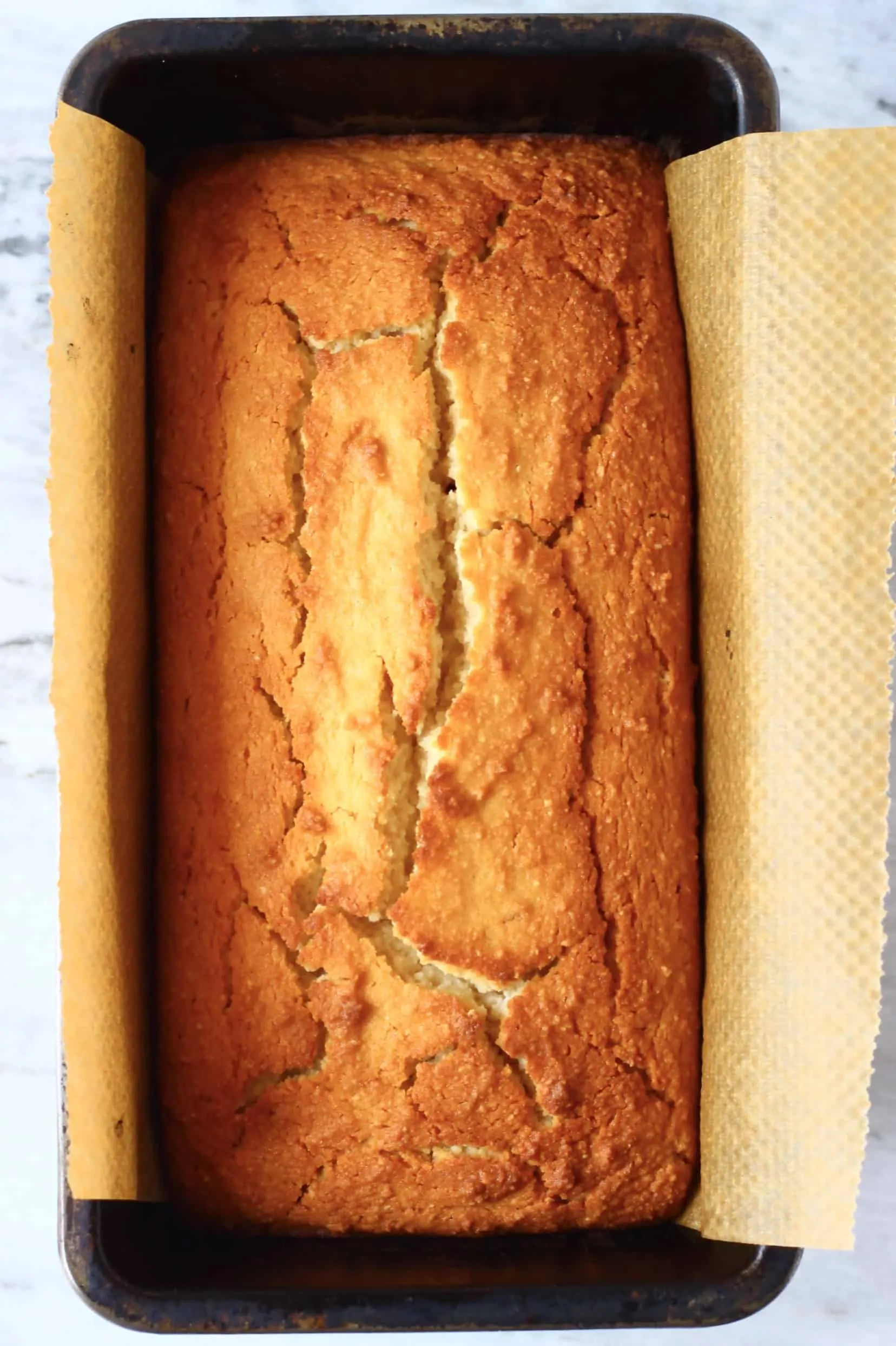 A loaf of gluten-free vegan lemon bread in a loaf tin