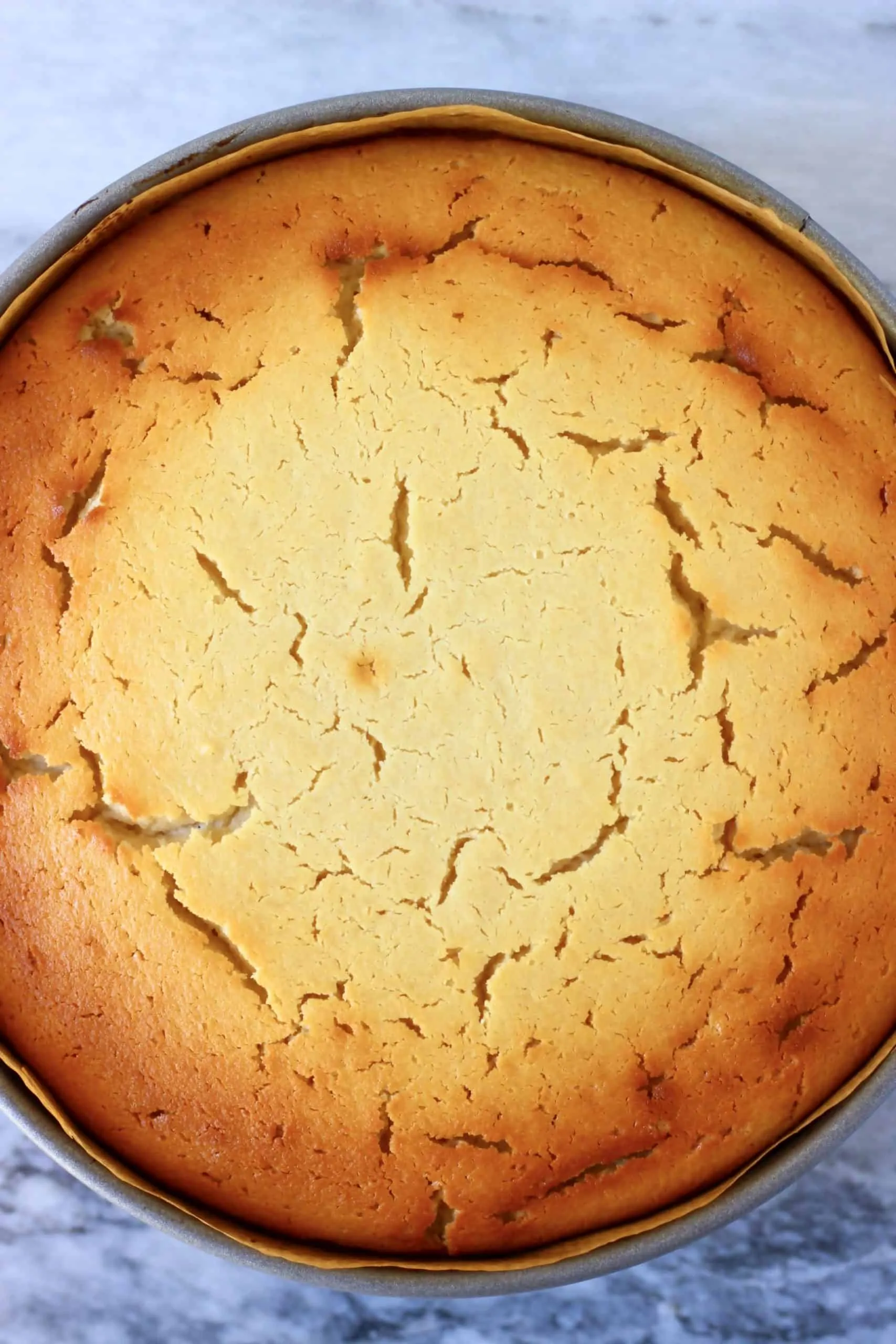 Golden brown vegan baked cheesecake in a springform baking tin
