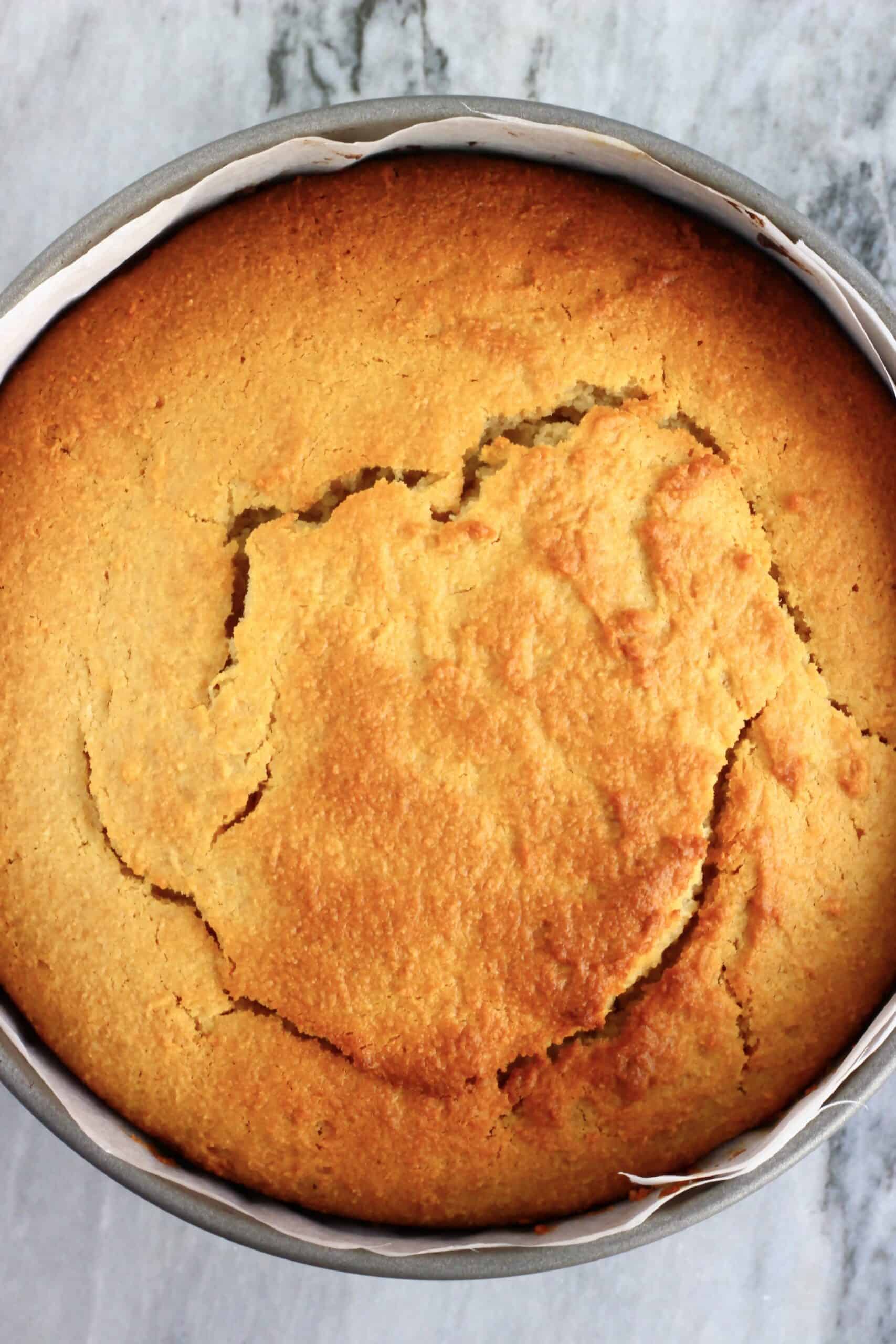 A baked gluten-free vegan olive oil cake in a round springform baking tin lined with baking paper