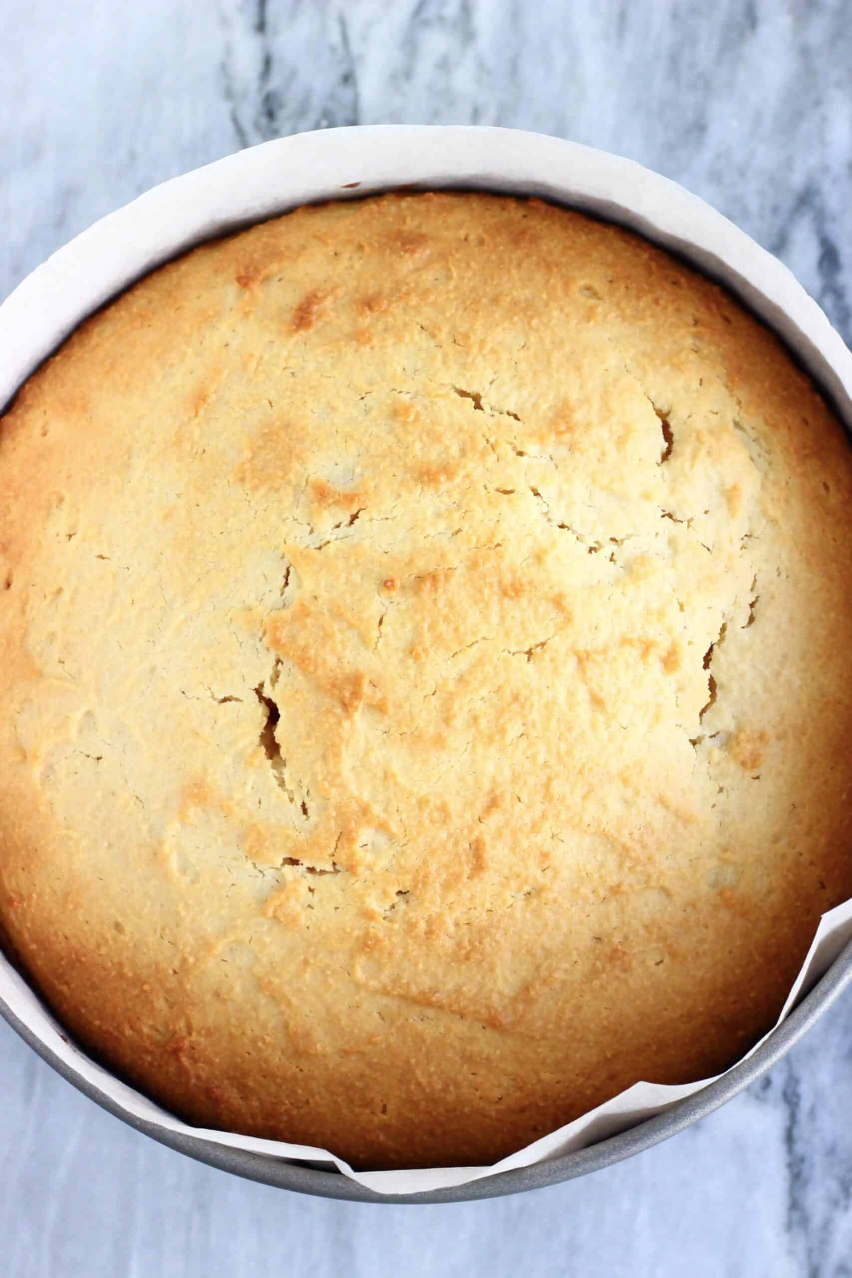 Baked gluten-free vegan lemon yogurt cake in a round springform baking tin lined with baking paper