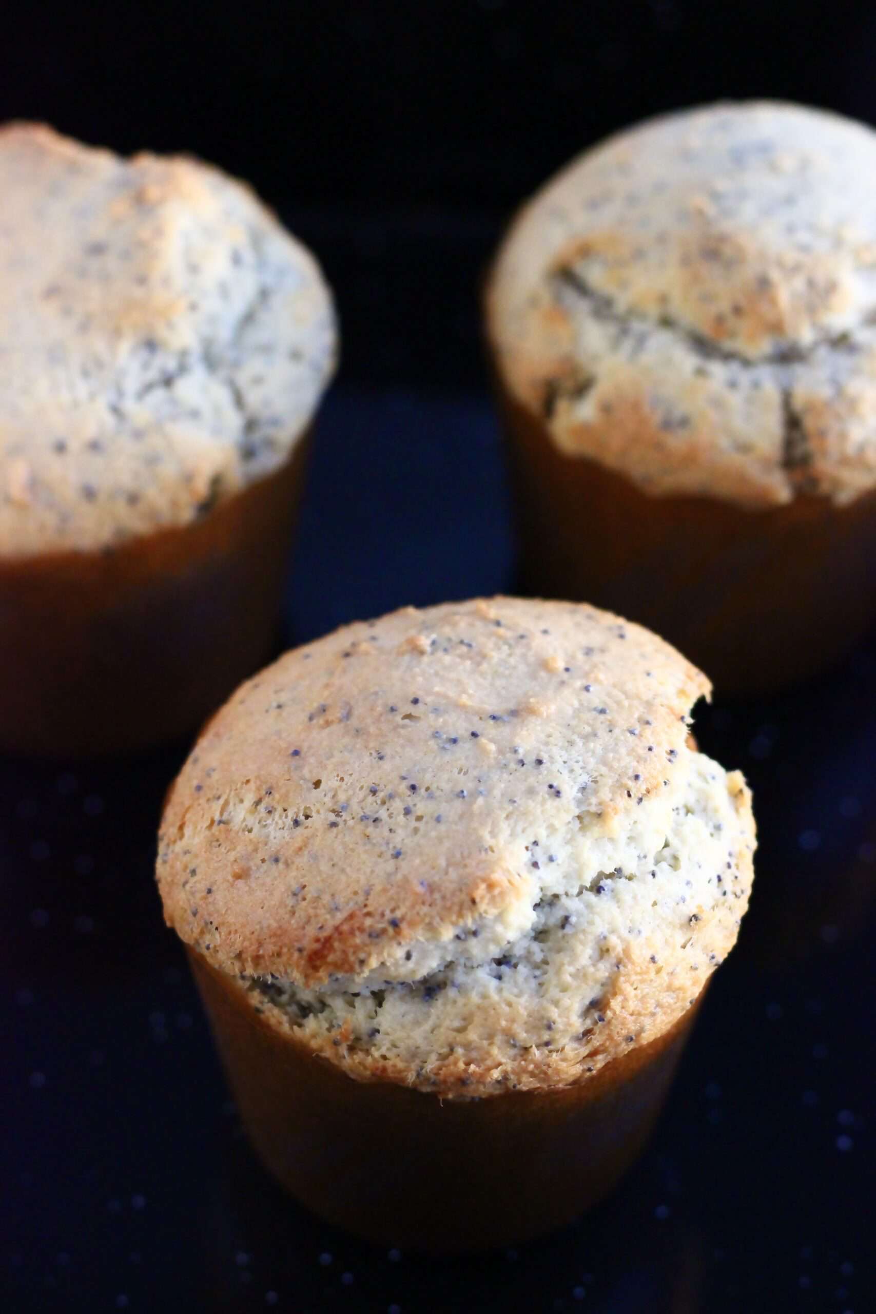Baked gluten-free vegan orange poppy seed muffins in muffin cases