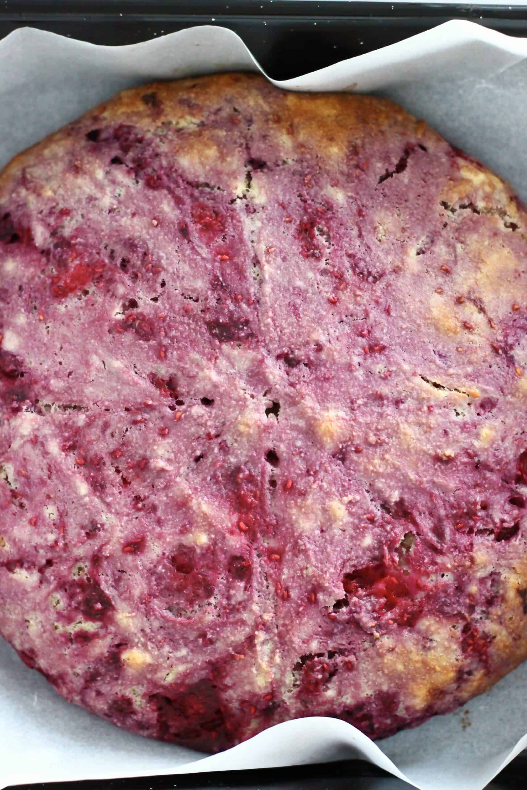 Baked gluten-free vegan raspberry scones in a round circle on a baking tray lined with baking paper