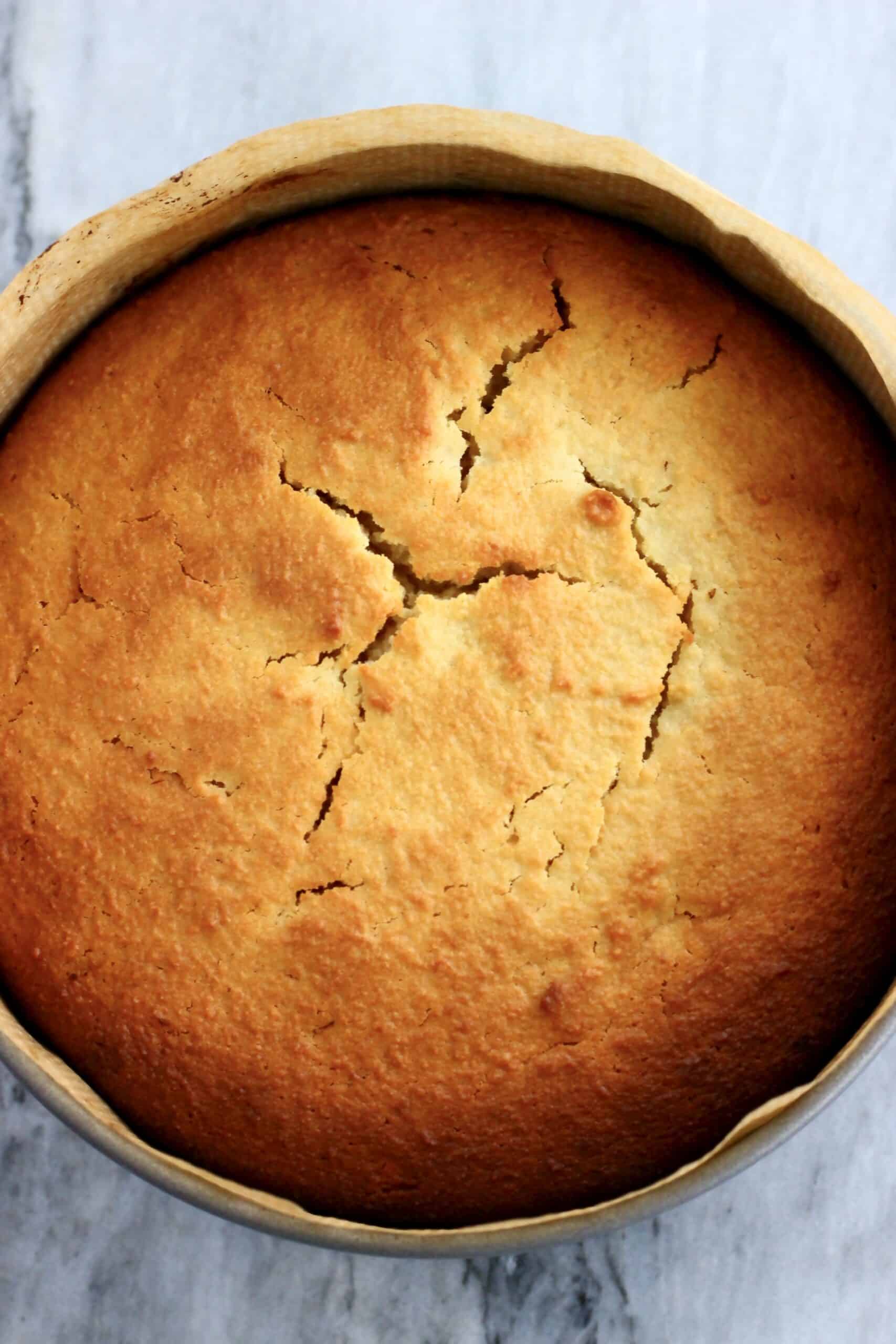 A baked gluten-free vegan lemon olive oil cake in a round springform baking tin