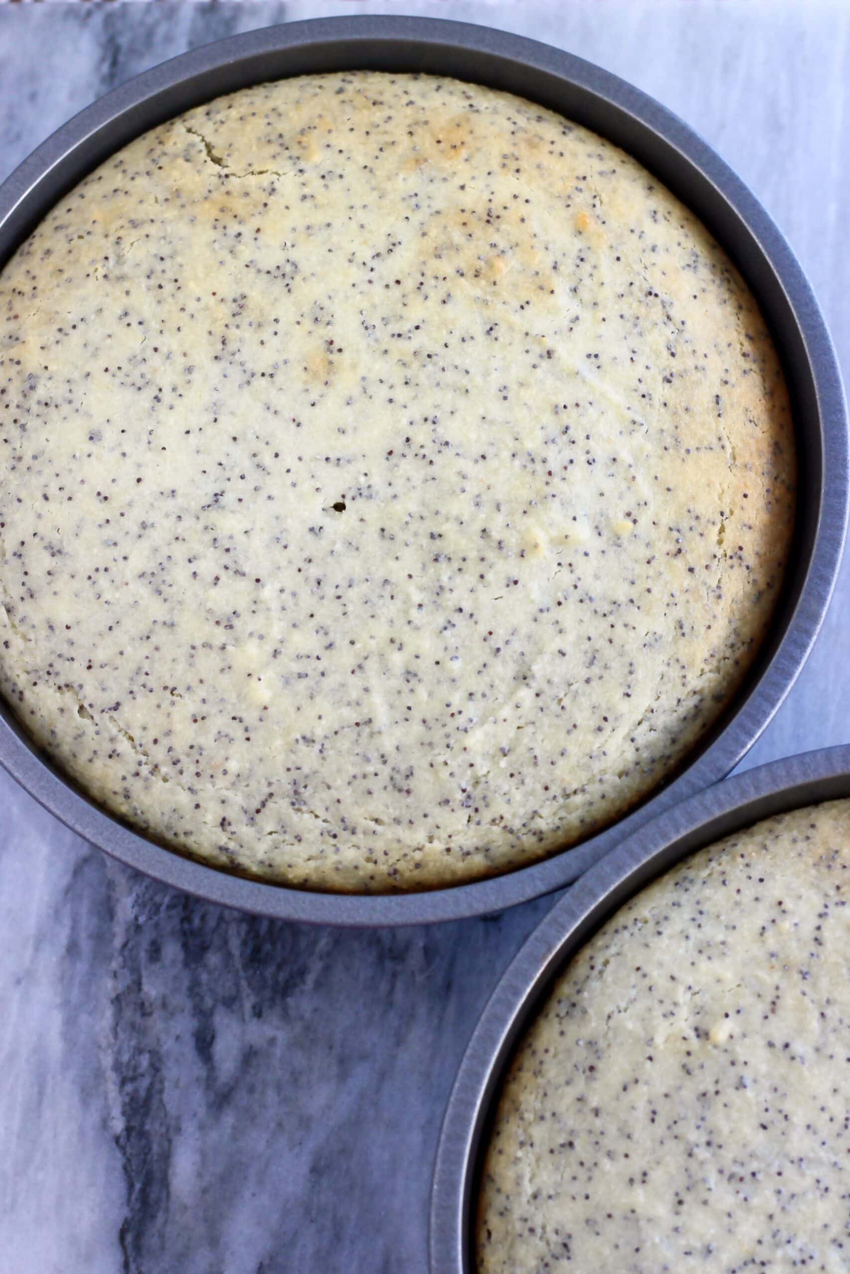 Baked vegan lemon poppy seed layer cake in two round baking tins