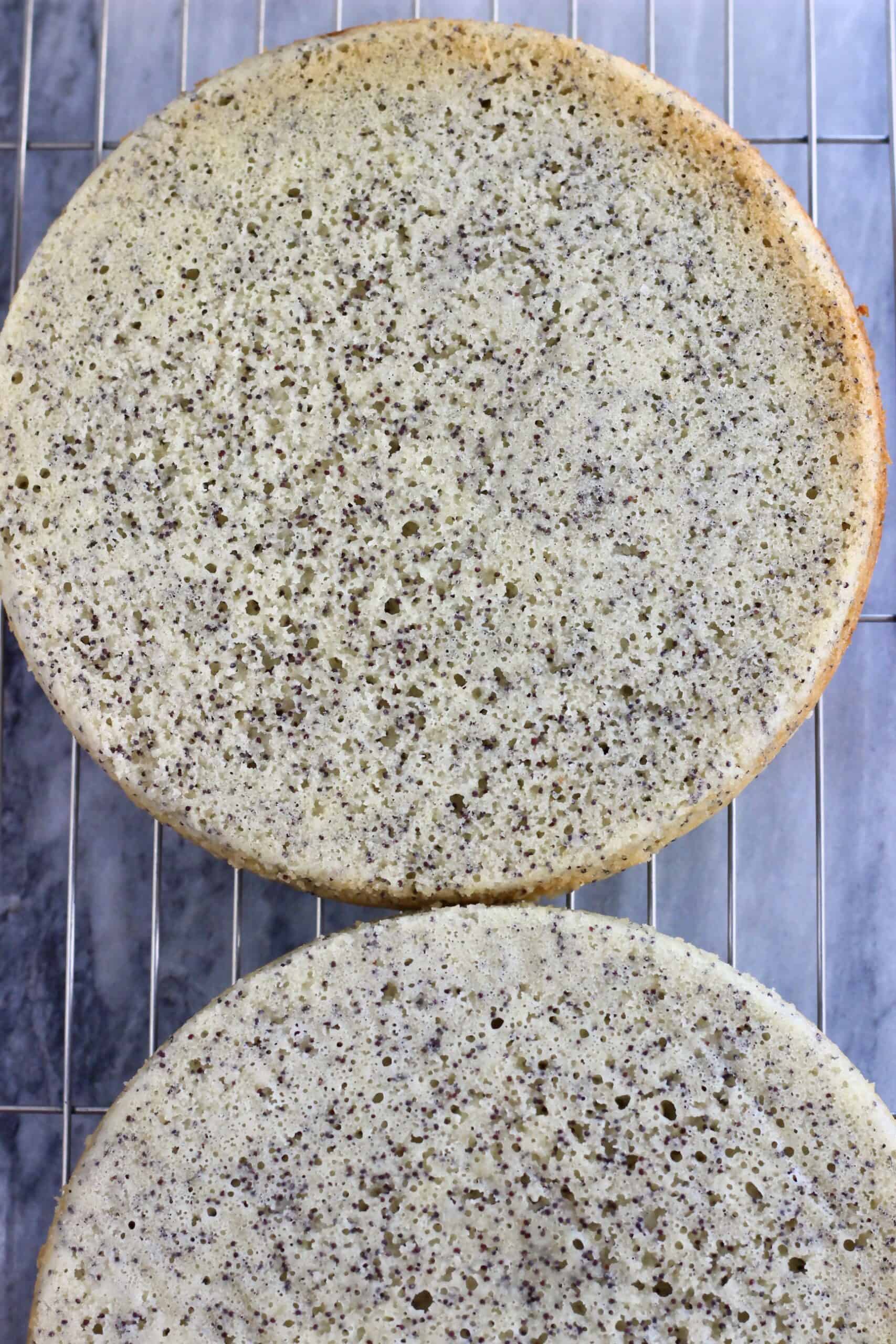 Two vegan lemon poppy seed layer cake sponges on a wire rack