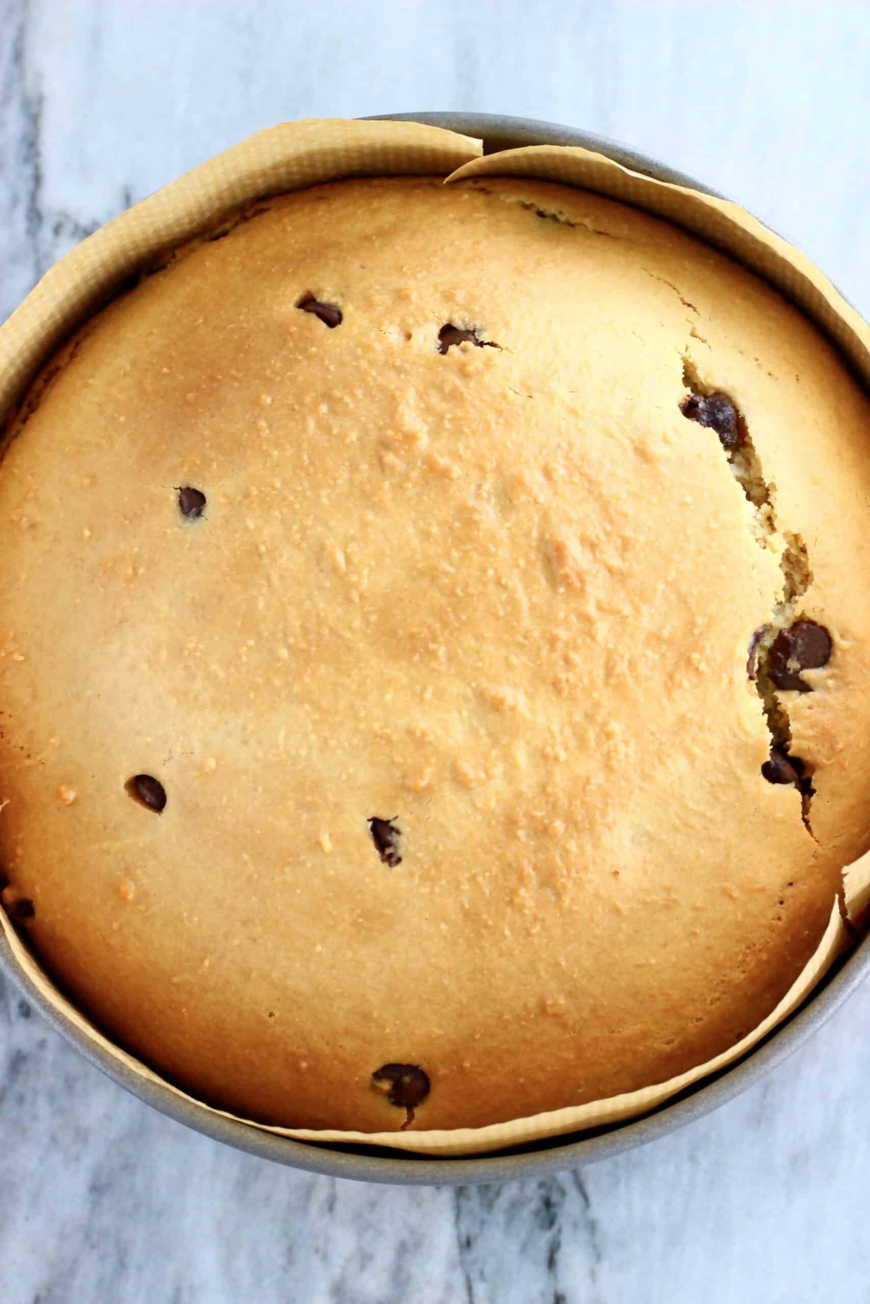 Baked gluten-free vegan chocolate chip cake in a round springform baking tin