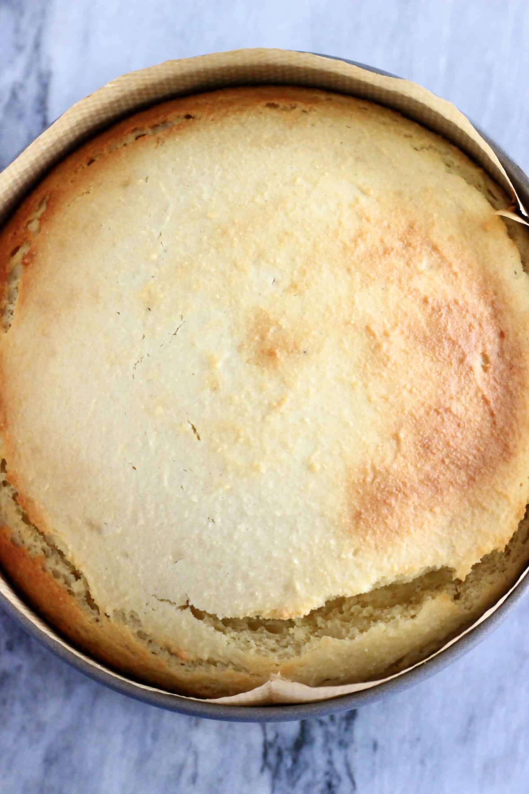 A baked vegan lemon olive oil yogurt cake in a round springform baking tin lined with baking paper