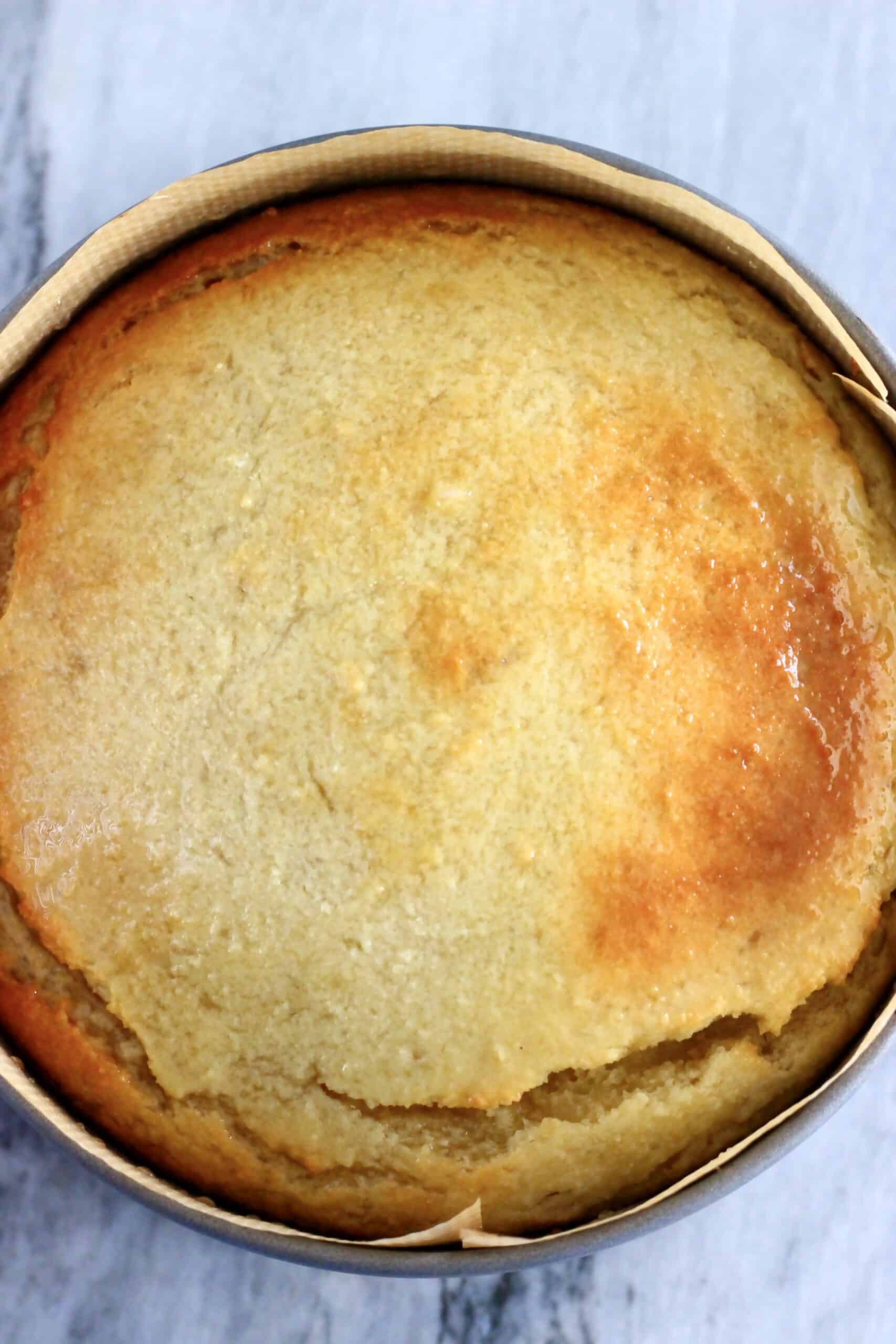 A baked vegan lemon olive oil yogurt cake drizzled with lemon syrup in a round springform baking tin