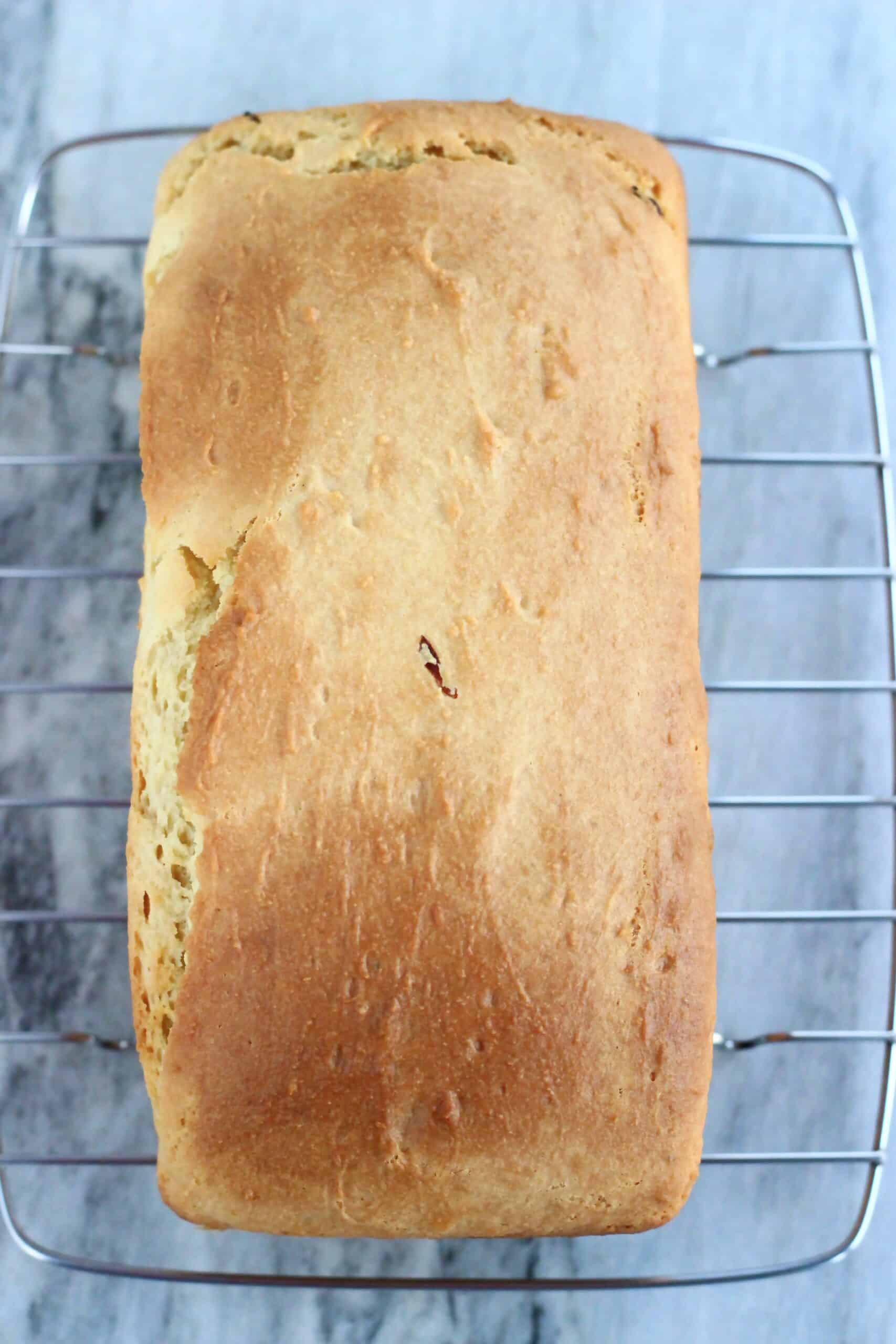 A baked gluten-free vegan yogurt loaf cake on a wire rack